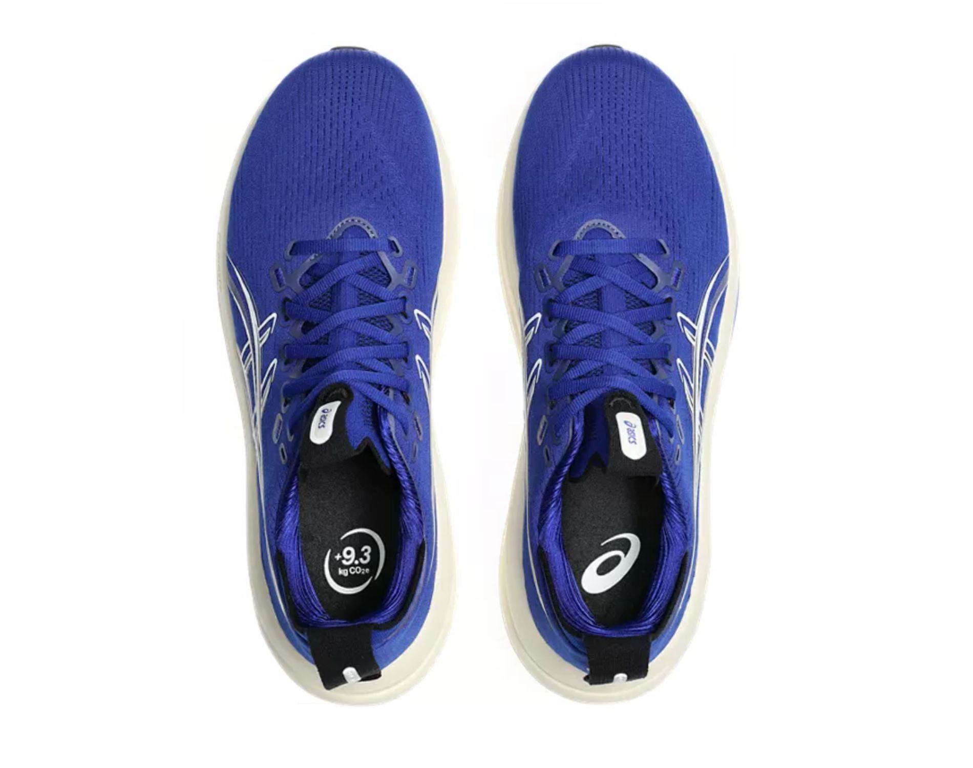 Asics GEL-Nimbus 28 Mens Running Shoes