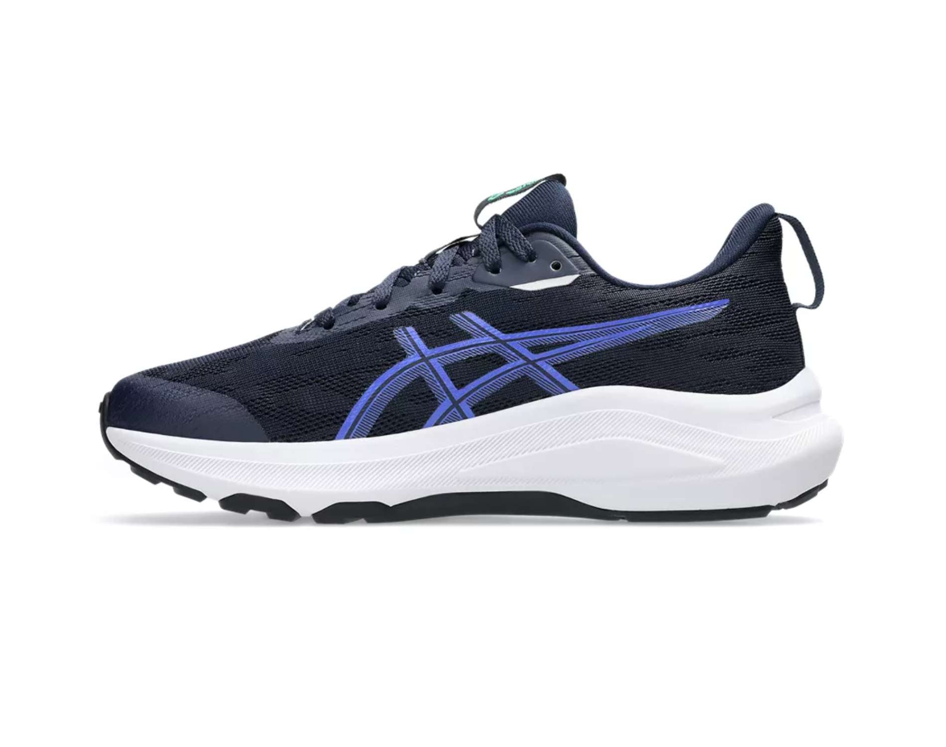 Asics GT-1000 14 GS Kids Running Shoes