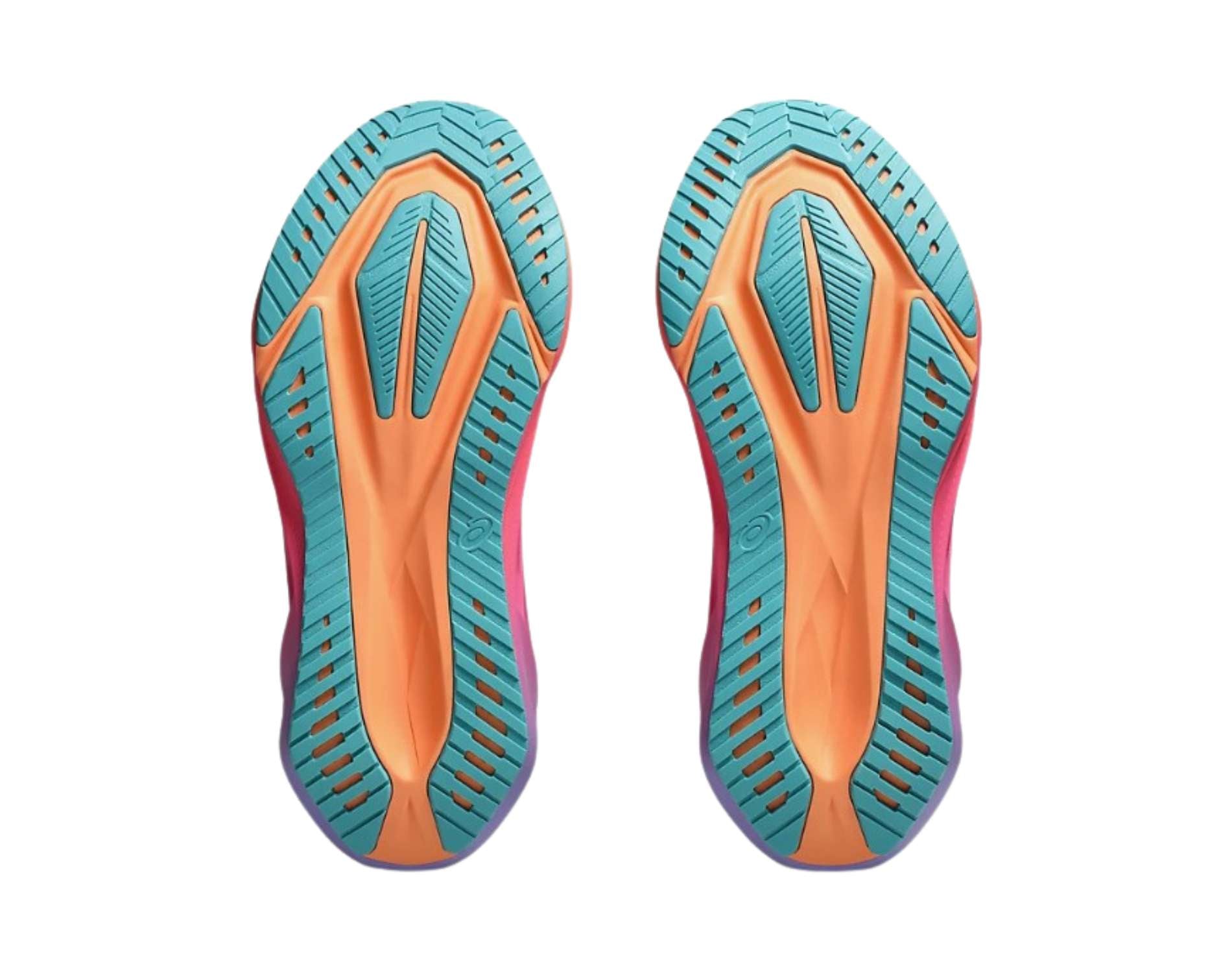 Asics Novablast 5 LA Marathon Unisex Running Shoes