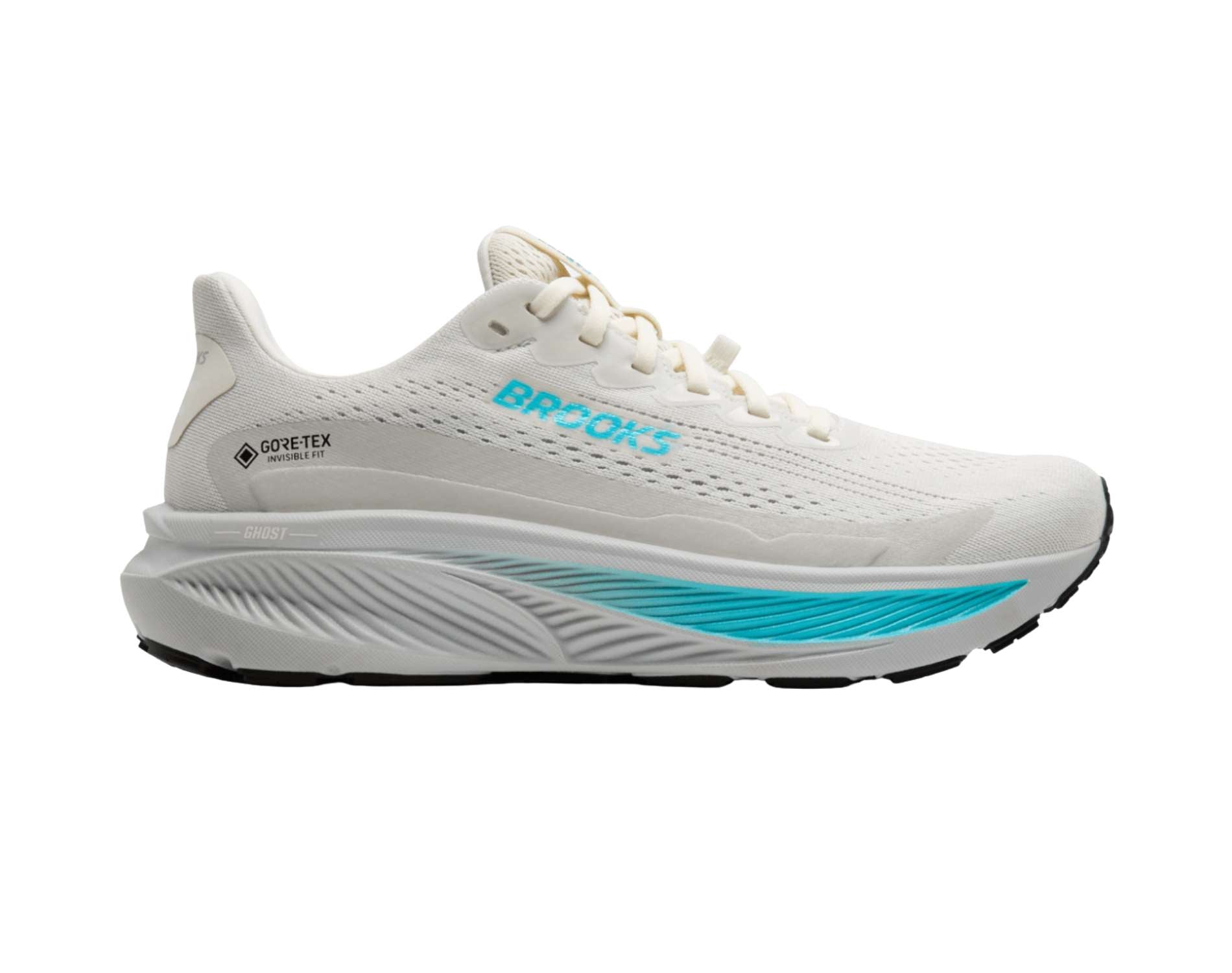 Brooks Ghost GTX 17 Womens