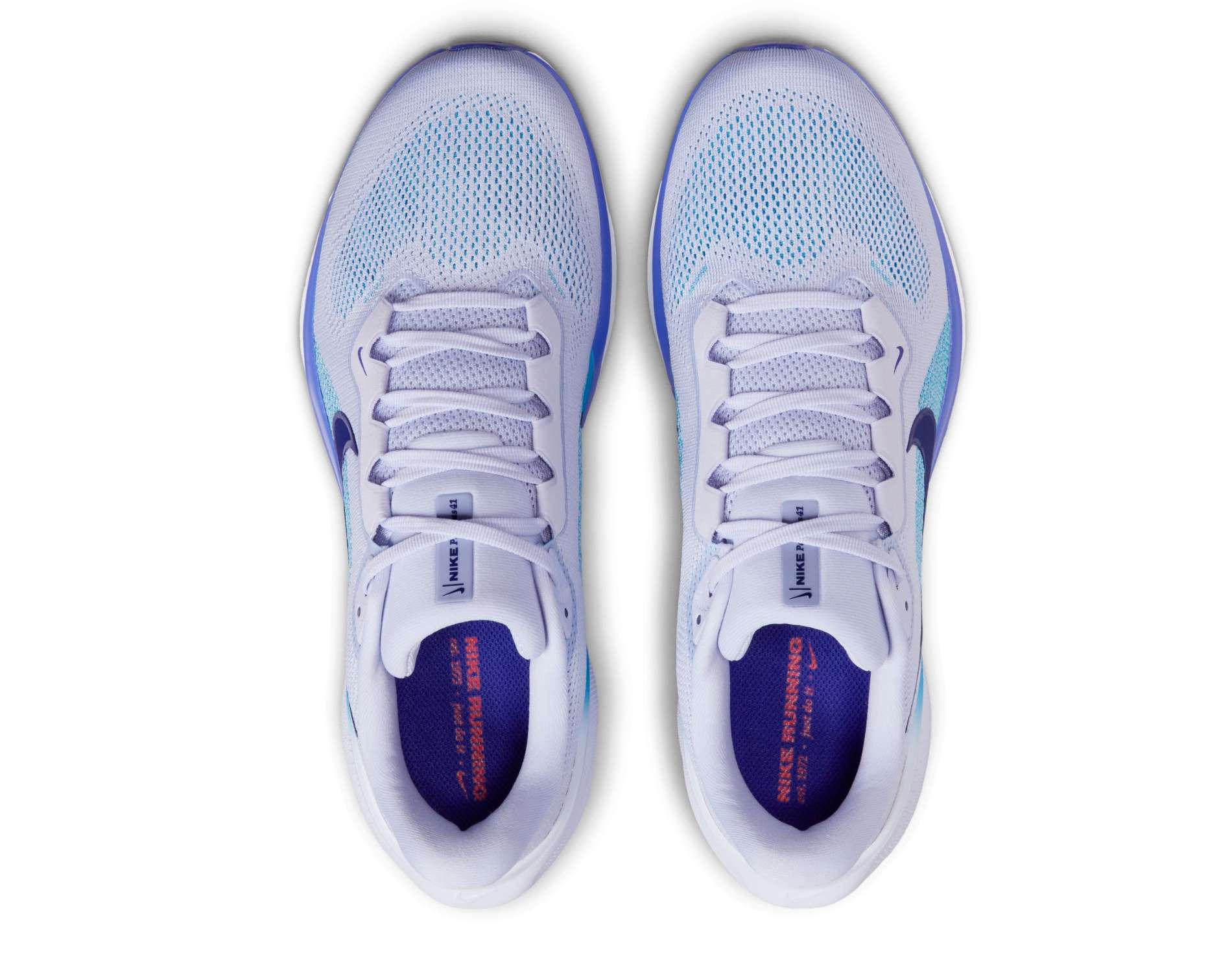 Nike Air Zoom Pegasus 41 Mens