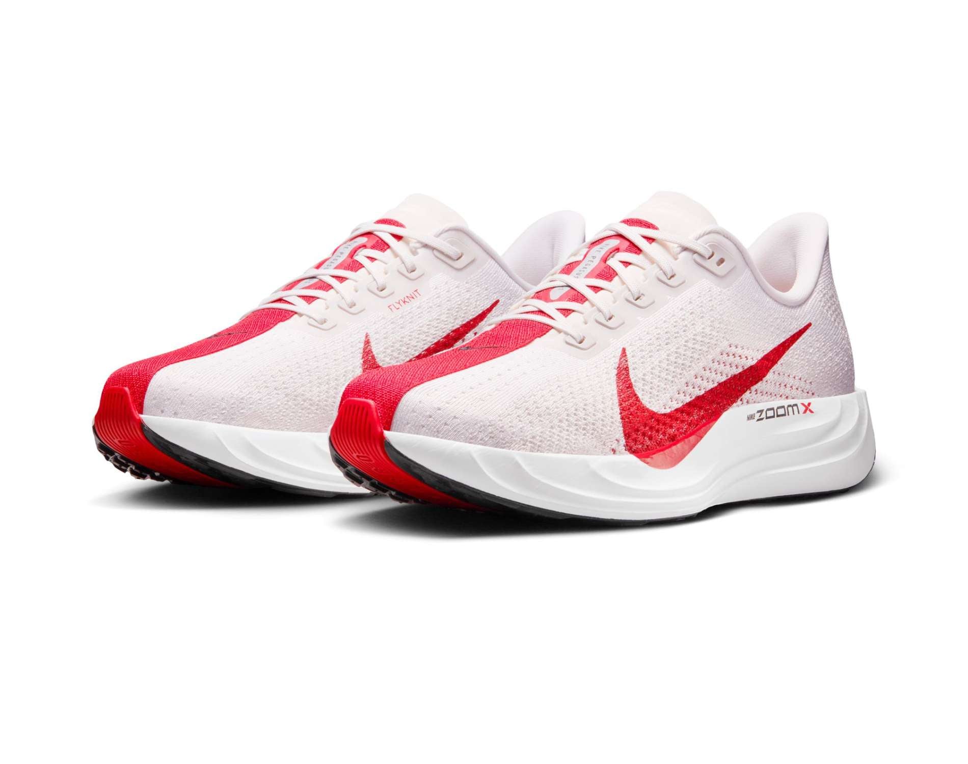 Nike Pegasus Plus Mens