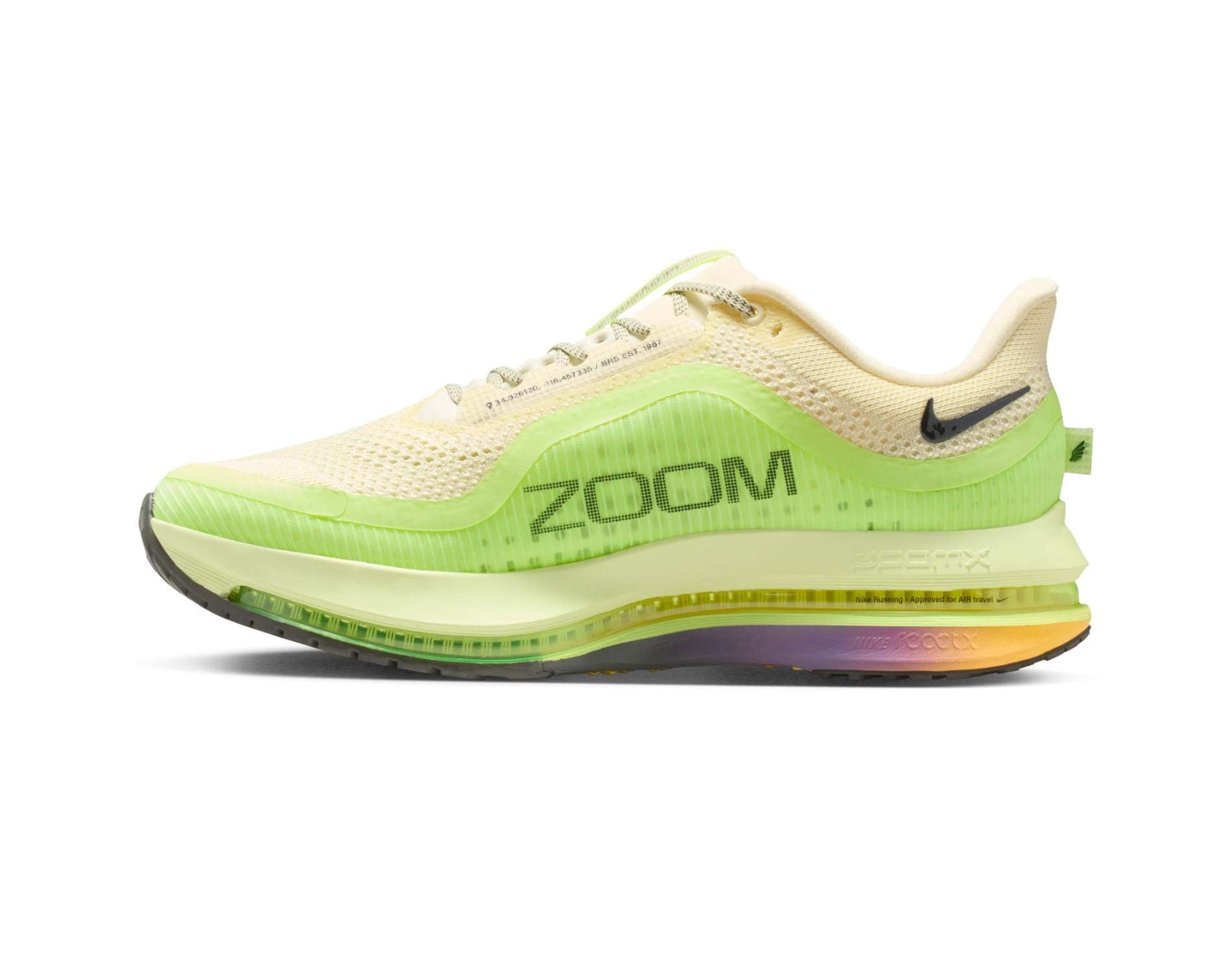 Nike Pegasus Premium Mens Running Shoes