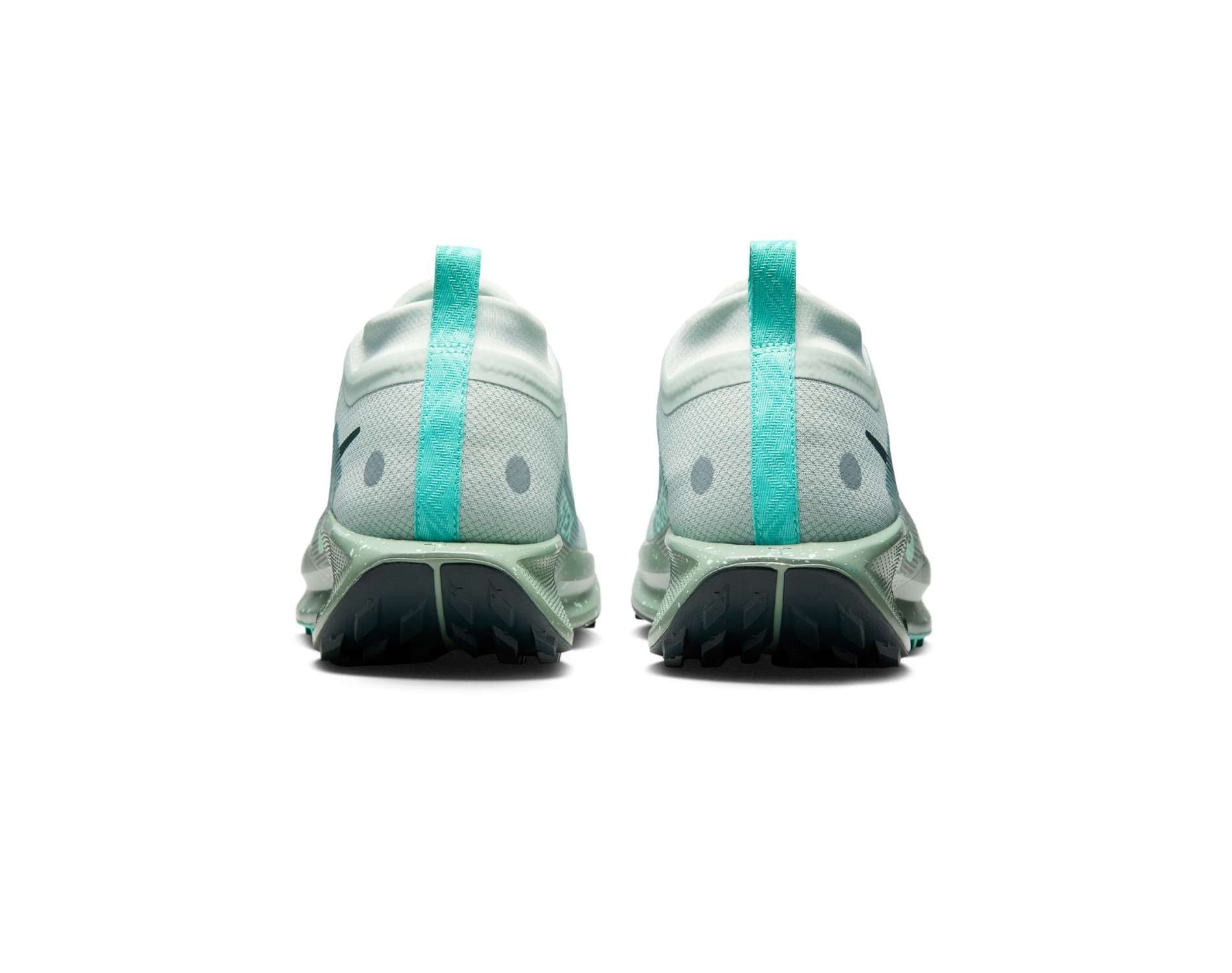 Nike Pegasus Trail 5 GORE-TEX Mens Trail-Running Shoes