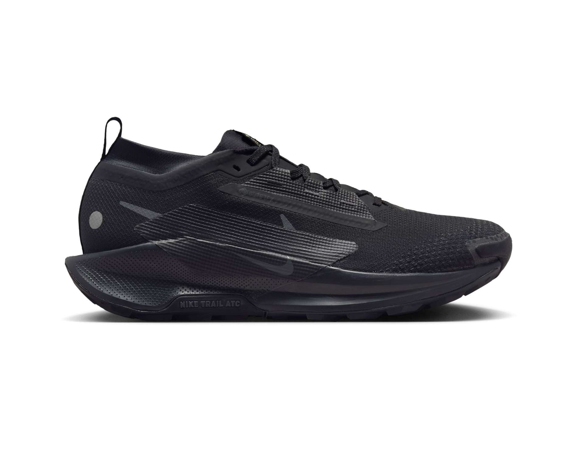 Nike Pegasus Trail 5 GORE-TEX Mens