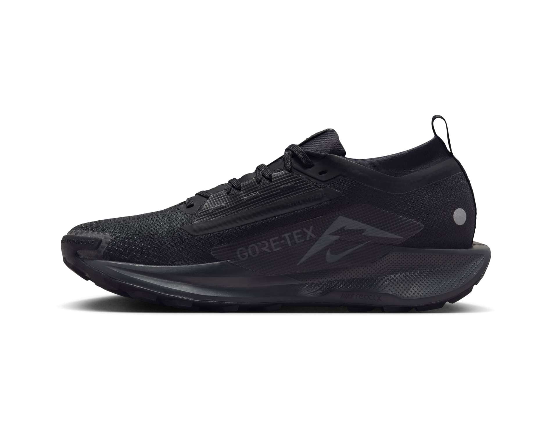 Nike Pegasus Trail 5 GORE-TEX Mens
