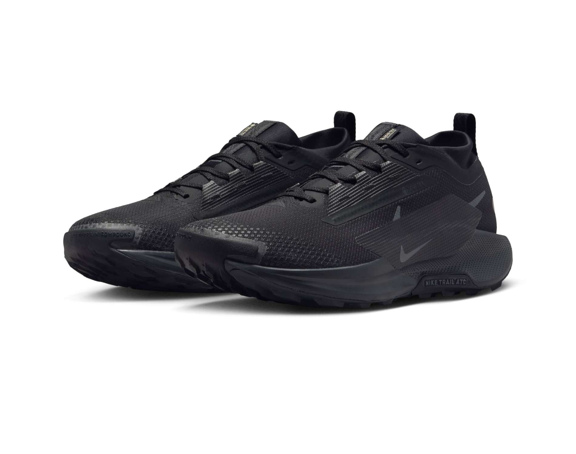 Nike Pegasus Trail 5 GORE-TEX Mens Trail-Running Shoes