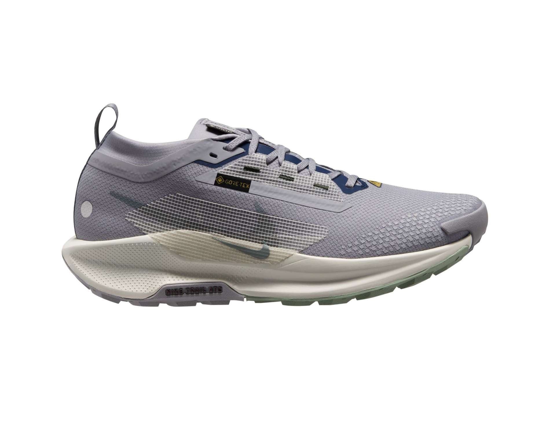 Nike Pegasus Trail 5 GORE-TEX Mens Trail-Running Shoes