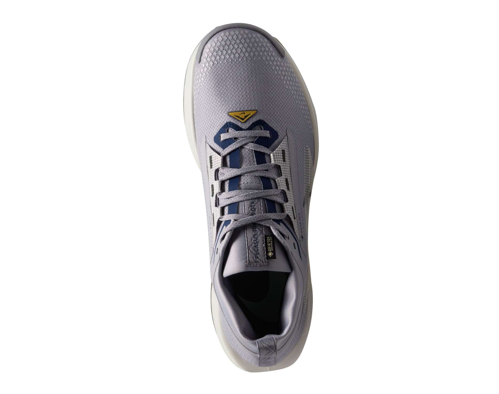 Nike Pegasus Trail 5 GORE-TEX Mens