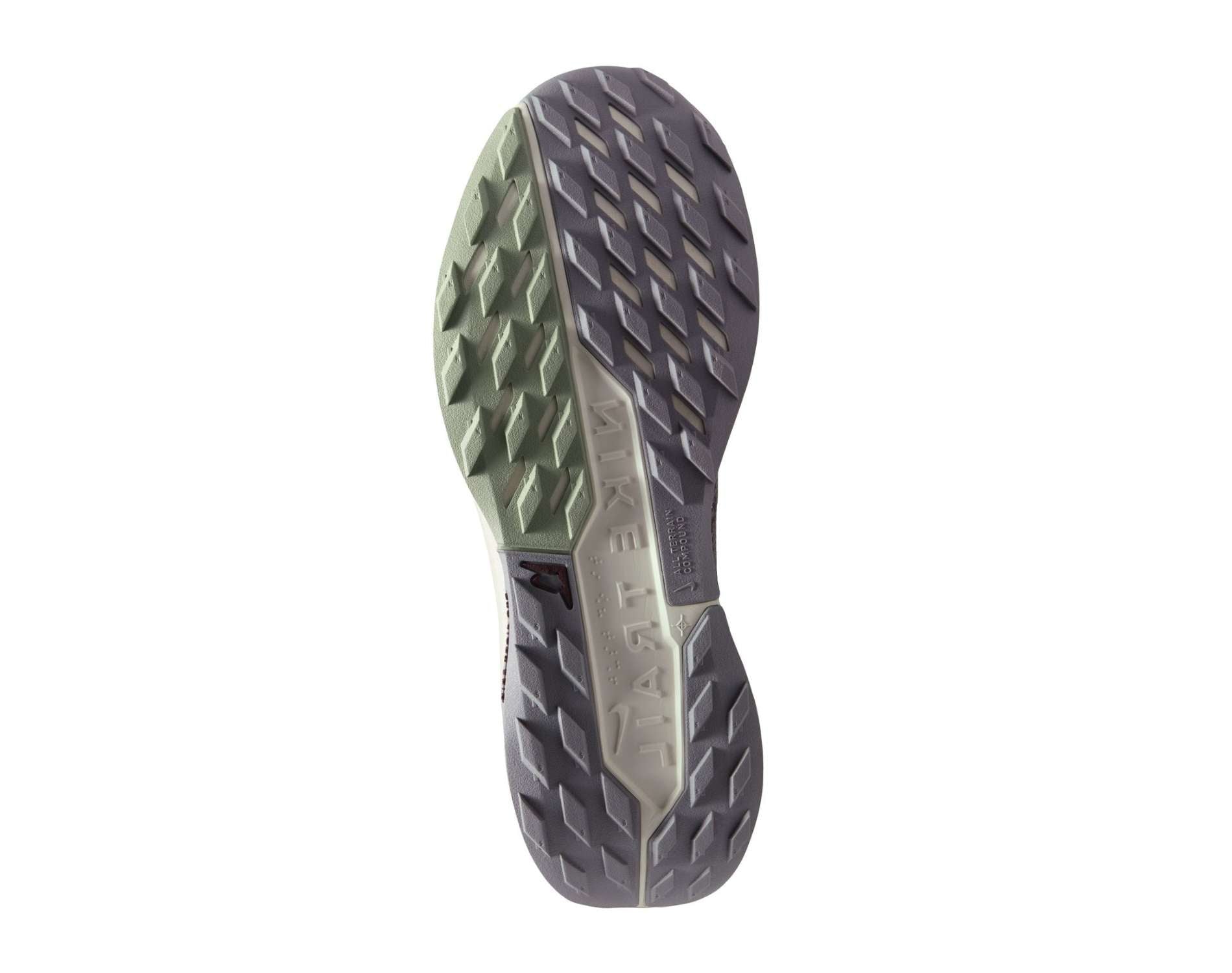 Nike Pegasus Trail 5 GORE-TEX Mens