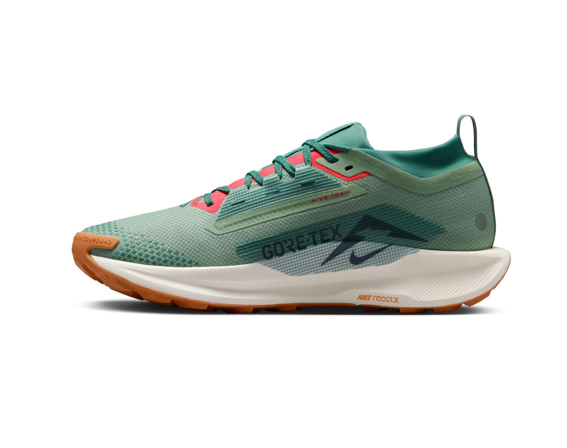 Nike Pegasus Trail 5 GORE-TEX Mens Trail-Running Shoes