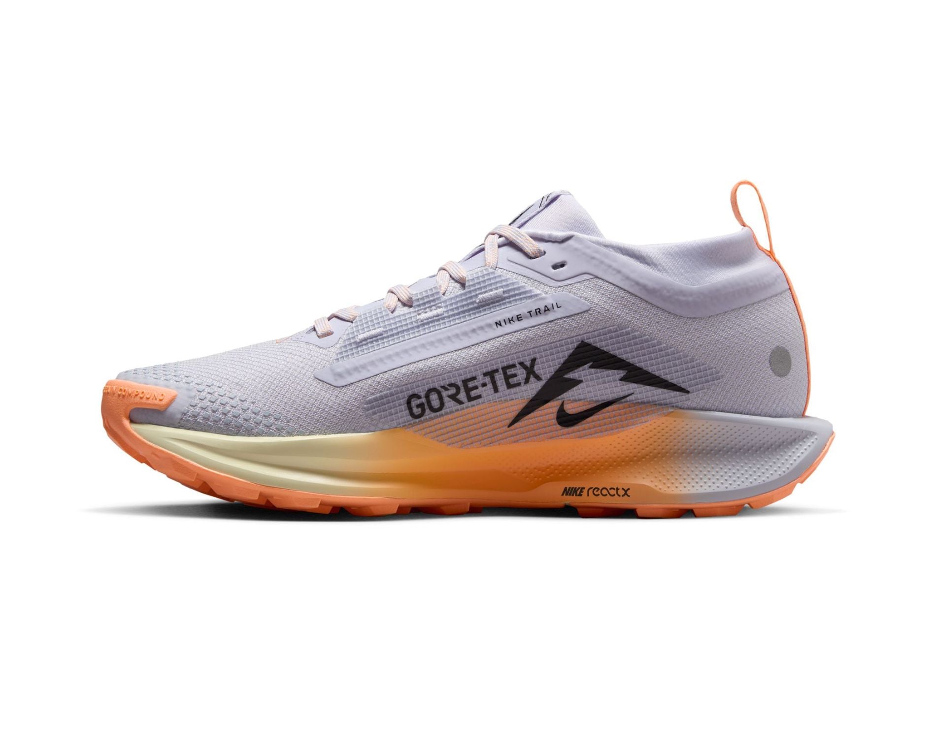 Nike Pegasus Trail 5 GORE-TEX Womens Trail-Running Shoes