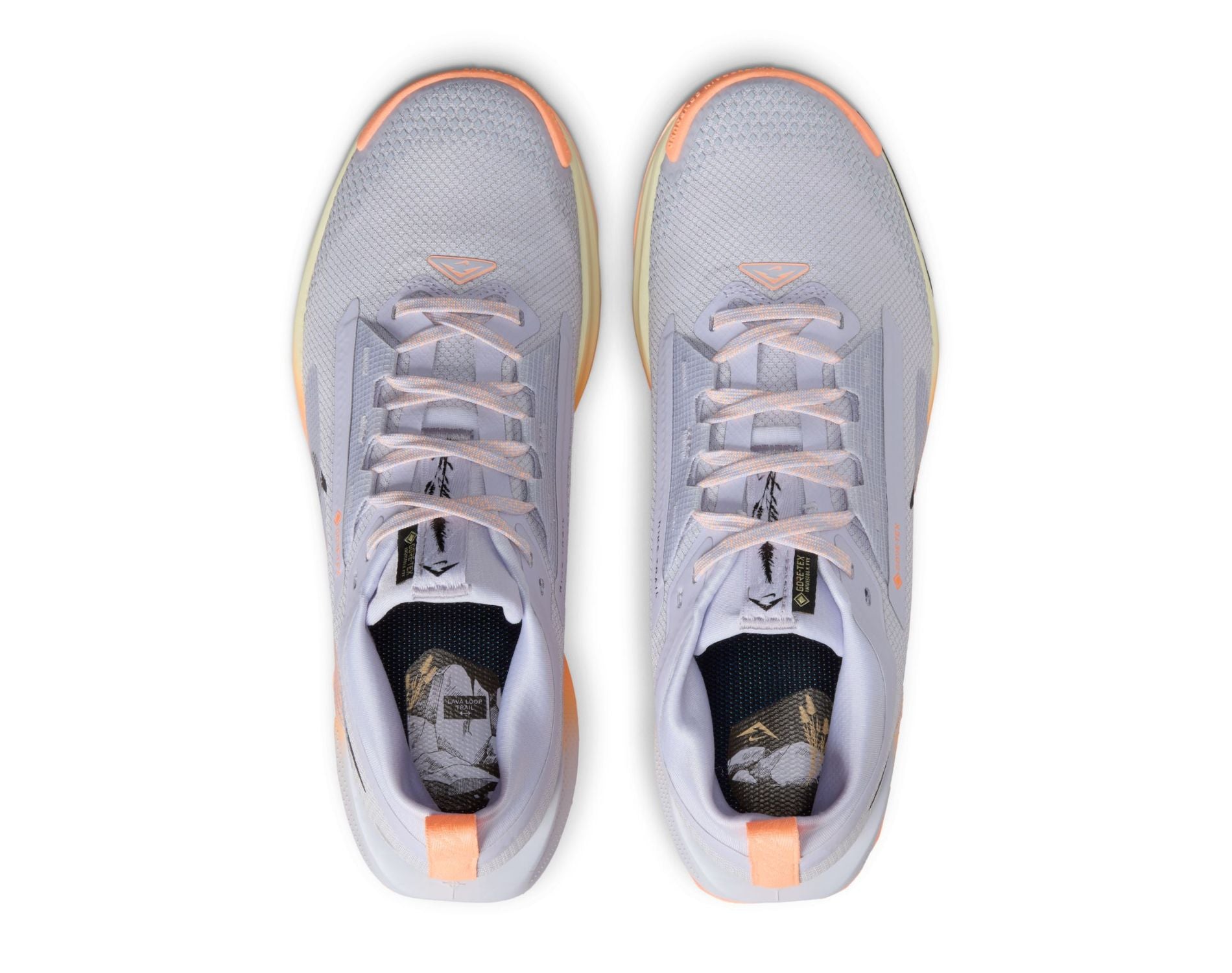 Nike Pegasus Trail 5 GORE-TEX Womens Trail-Running Shoes