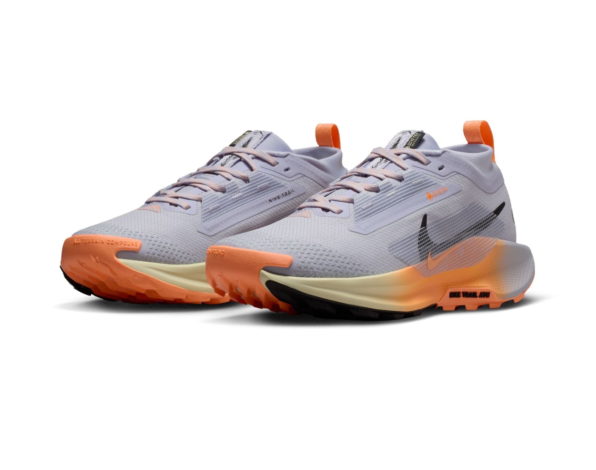 Nike Pegasus Trail 5 GORE-TEX Womens Trail-Running Shoes