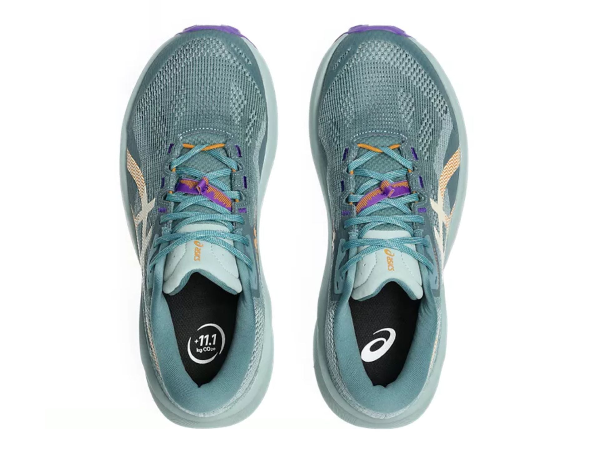 Asics GEL-Trabuco 14 Womens Trail Running Shoes