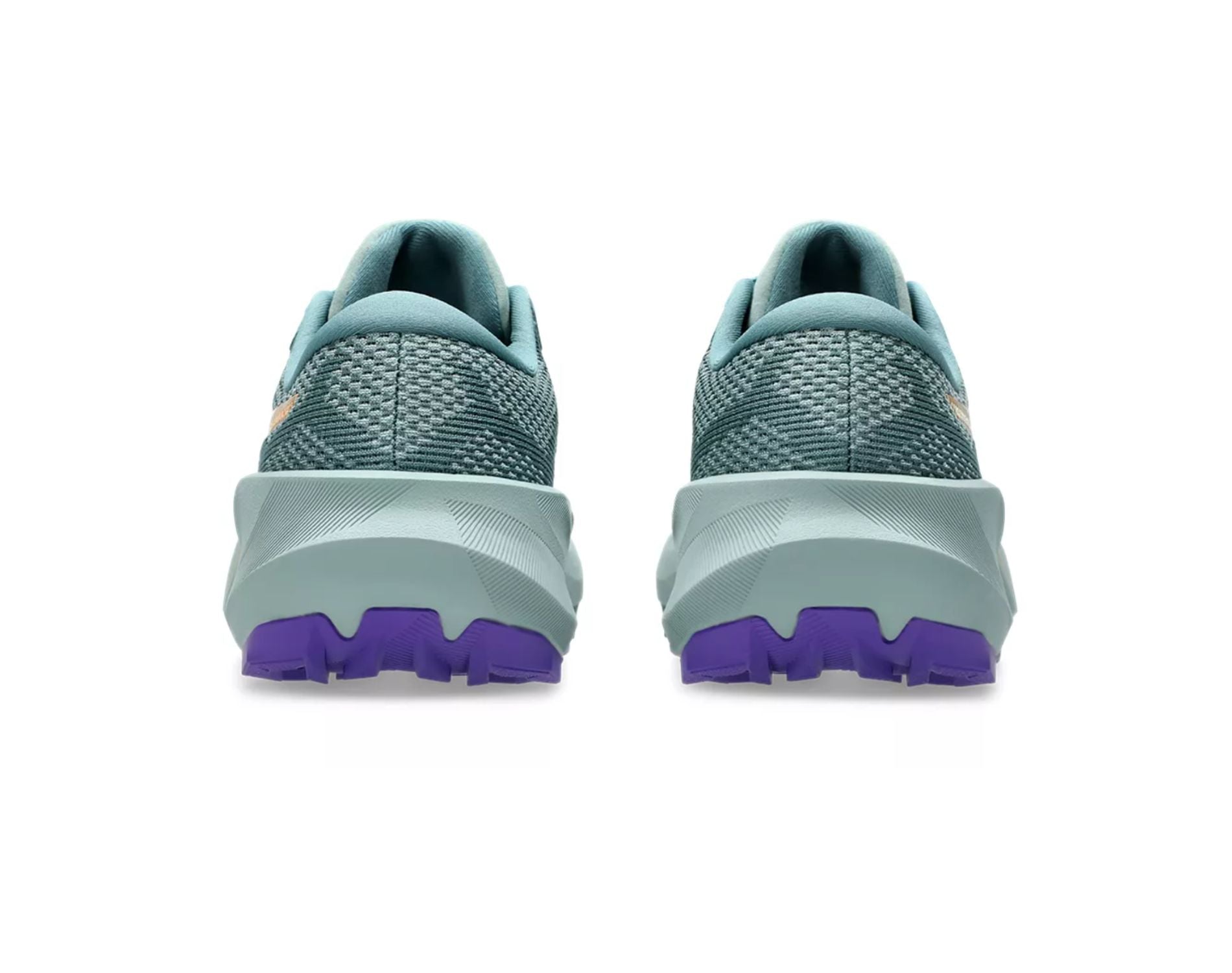 Asics GEL-Trabuco 14 Womens Trail Running Shoes
