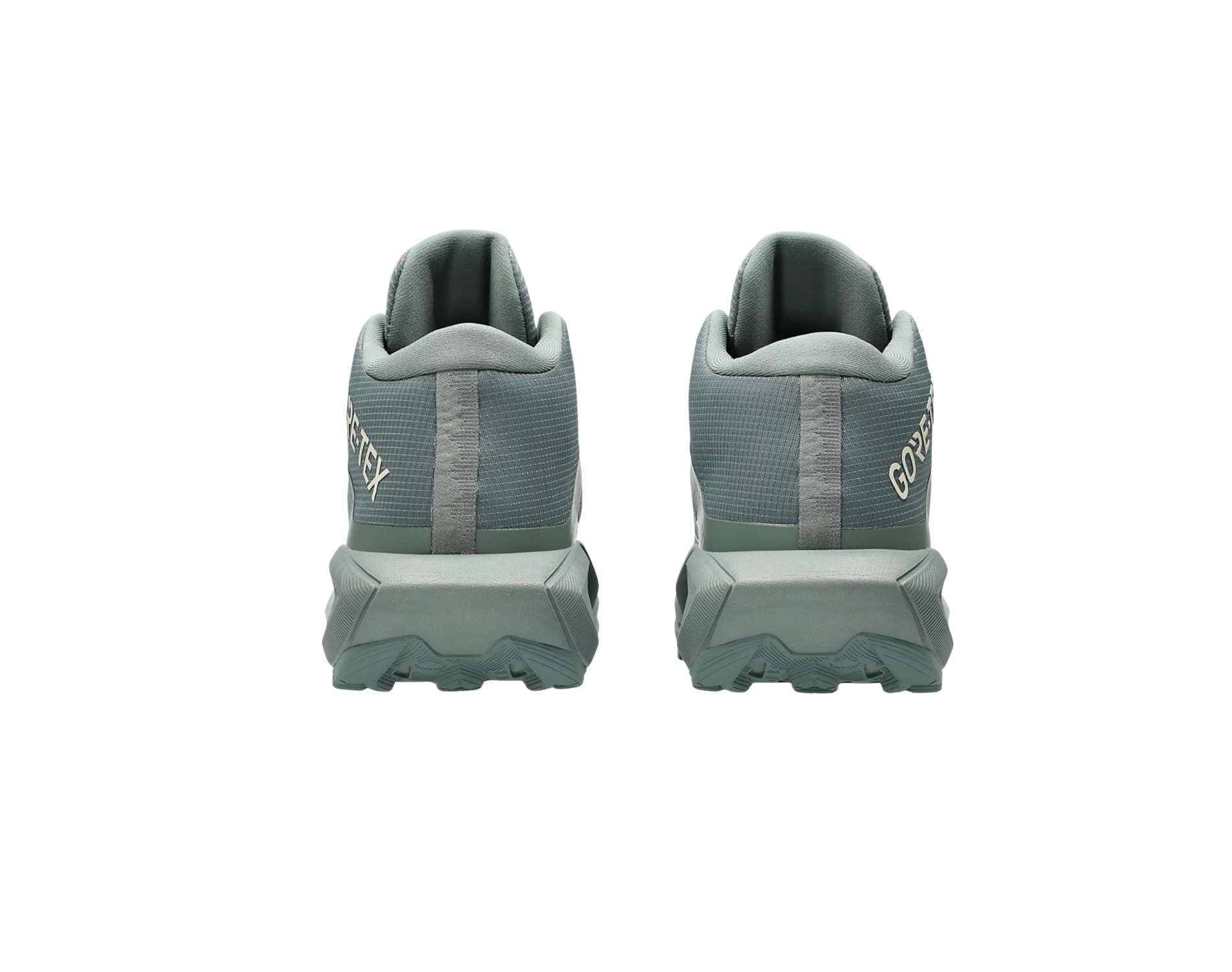 Asics GEL-Trabuco MT GTX Mens