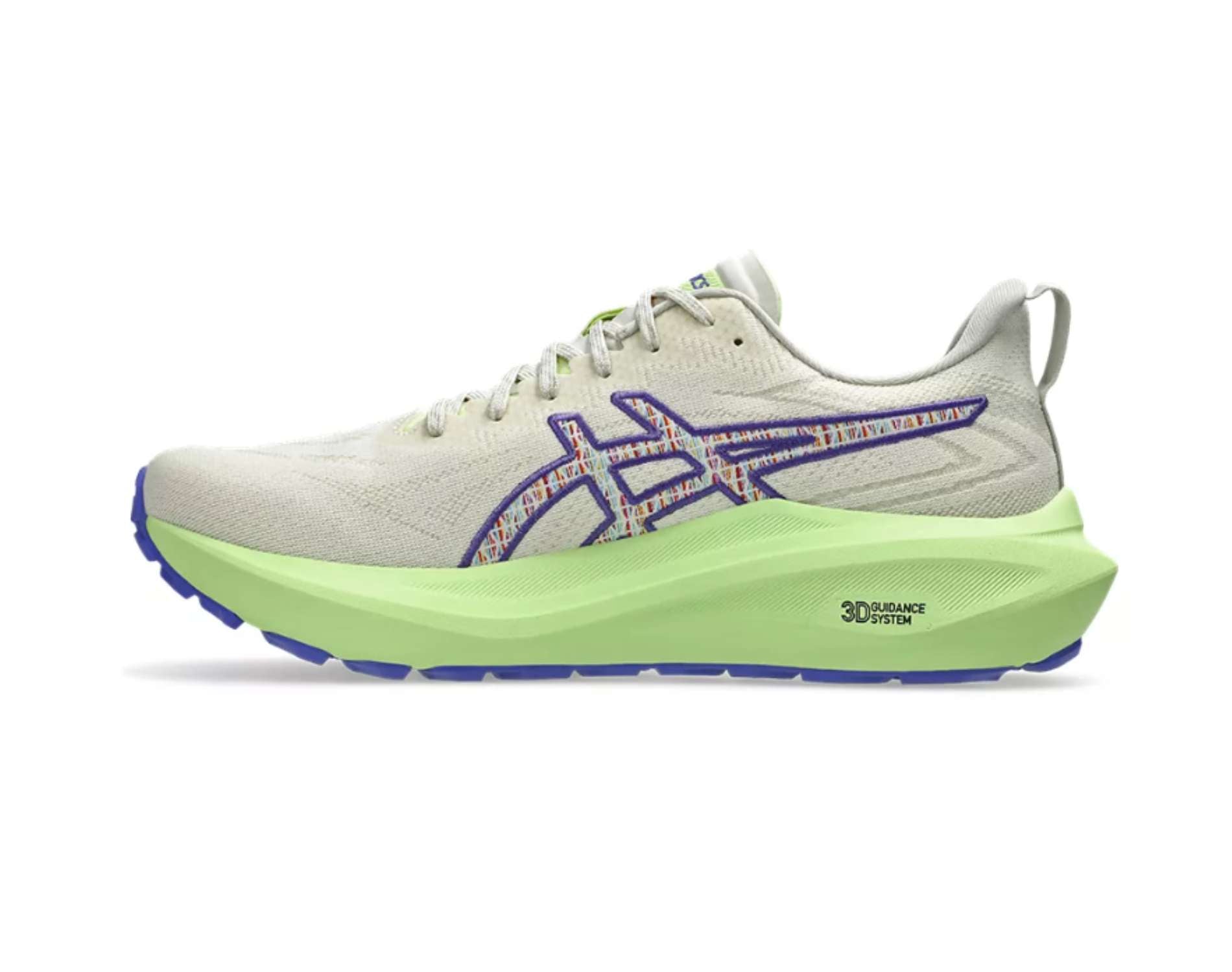 Asics GT-2000 13 TR Mens