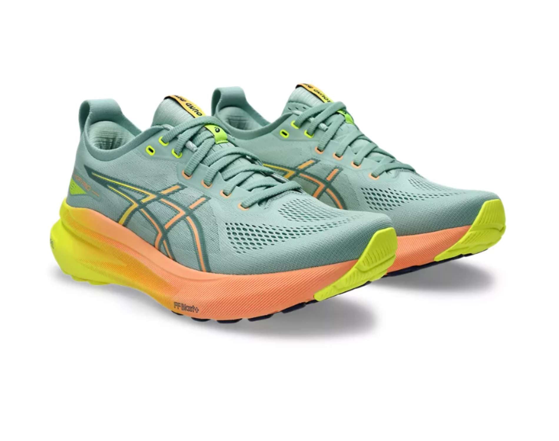 Asics Kayano 31 Mens Paris