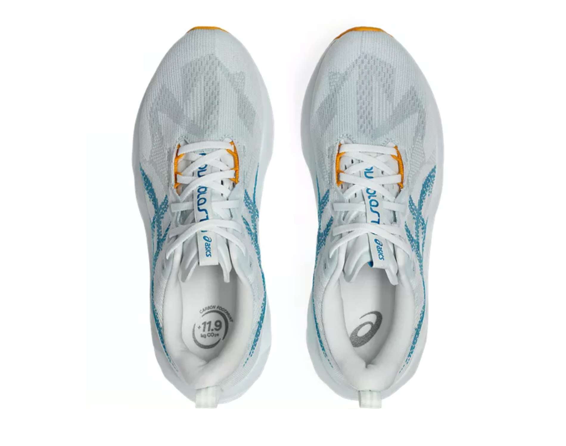 Asics Novablast 5 Mens Running Shoes