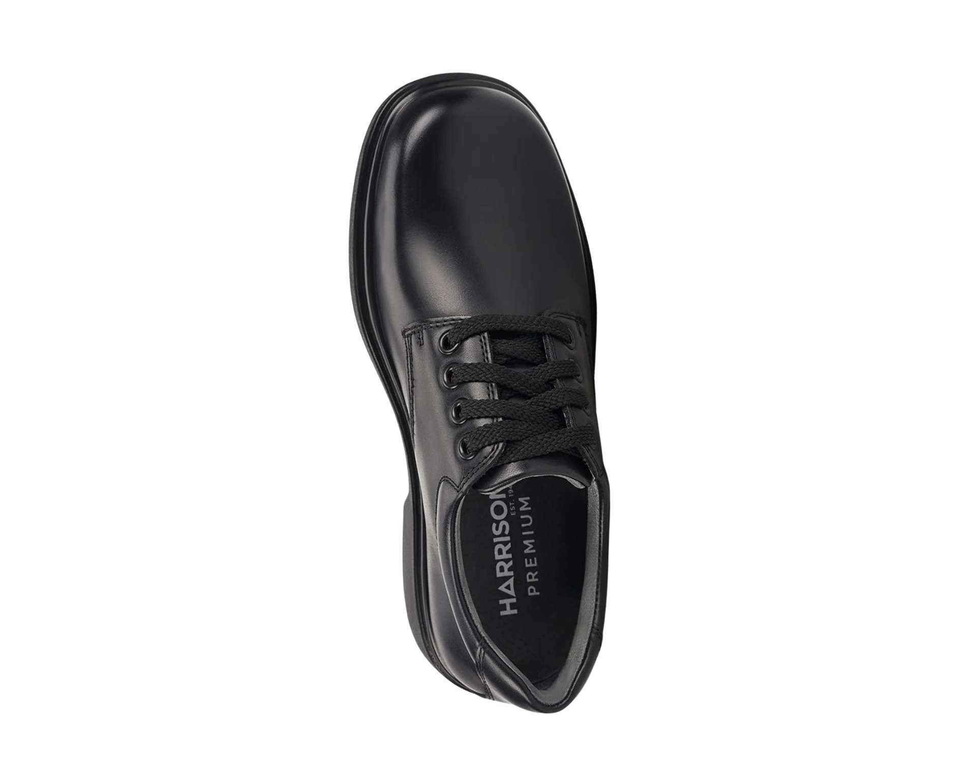 Harrison Daytona Senior (E) School Shoes