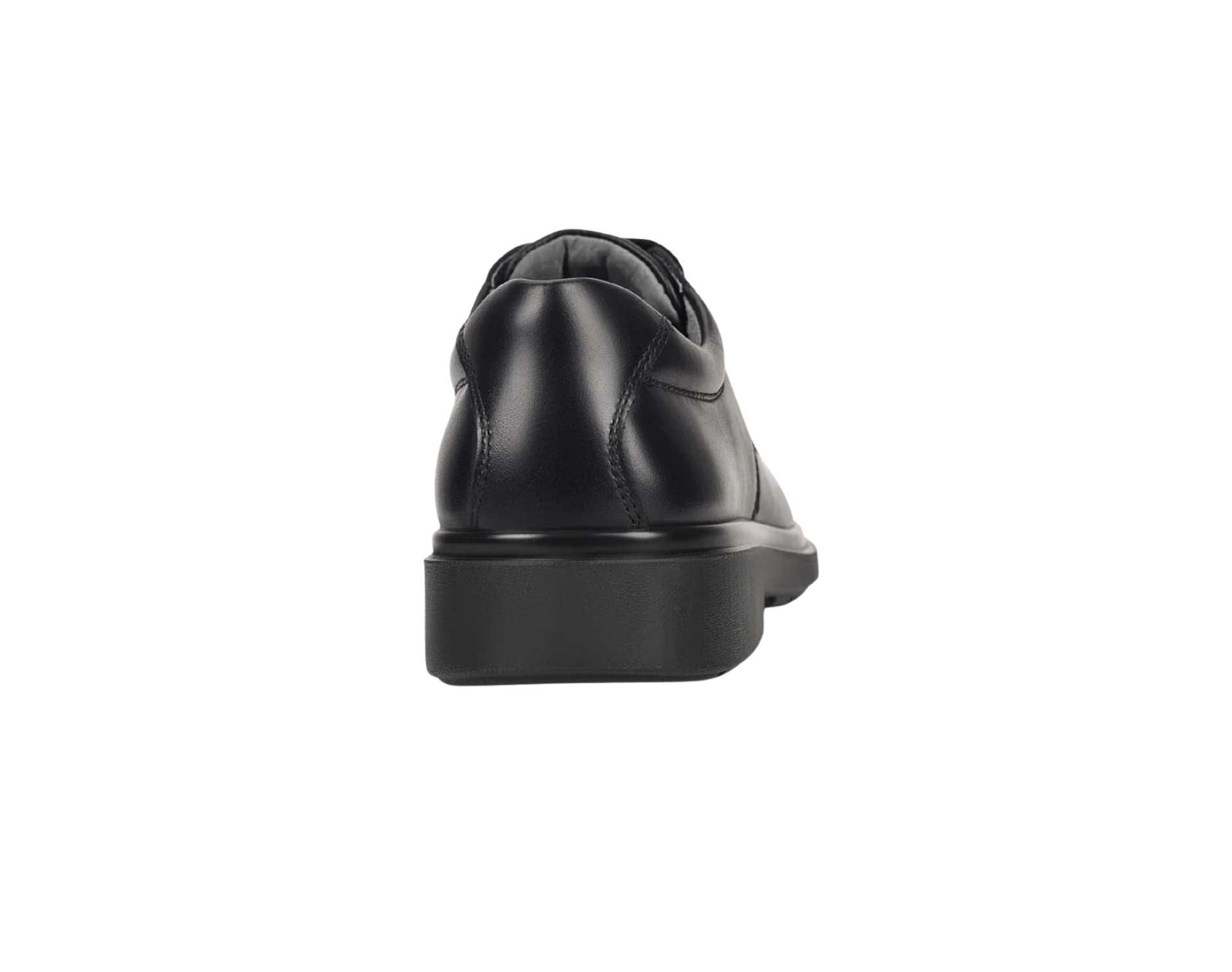 Harrison Daytona Senior (E) School Shoes