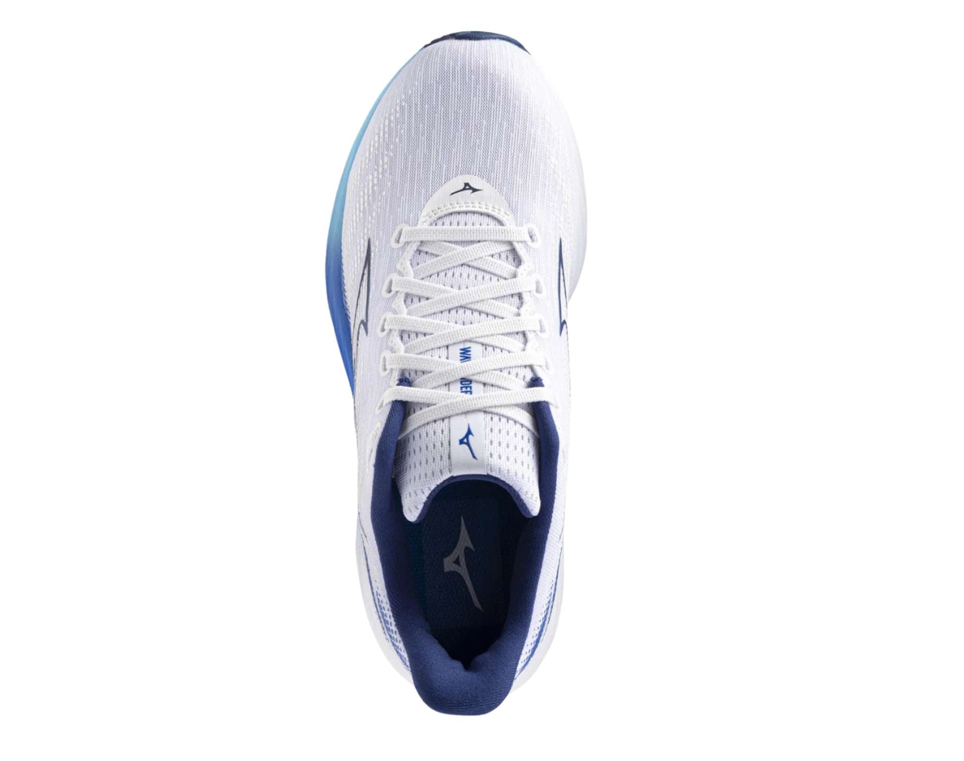 Mizuno Wave Rider 28 Mens