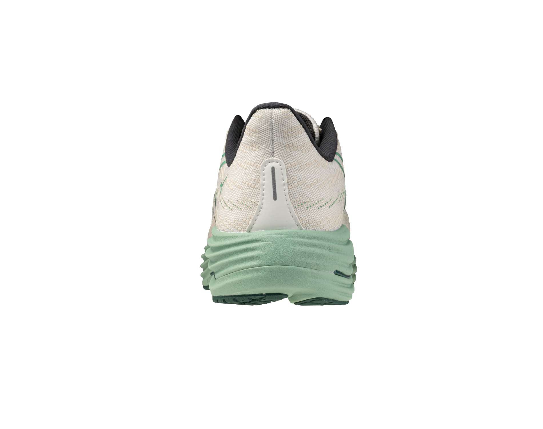 Mizuno Wave Rider 29 Mens Wide