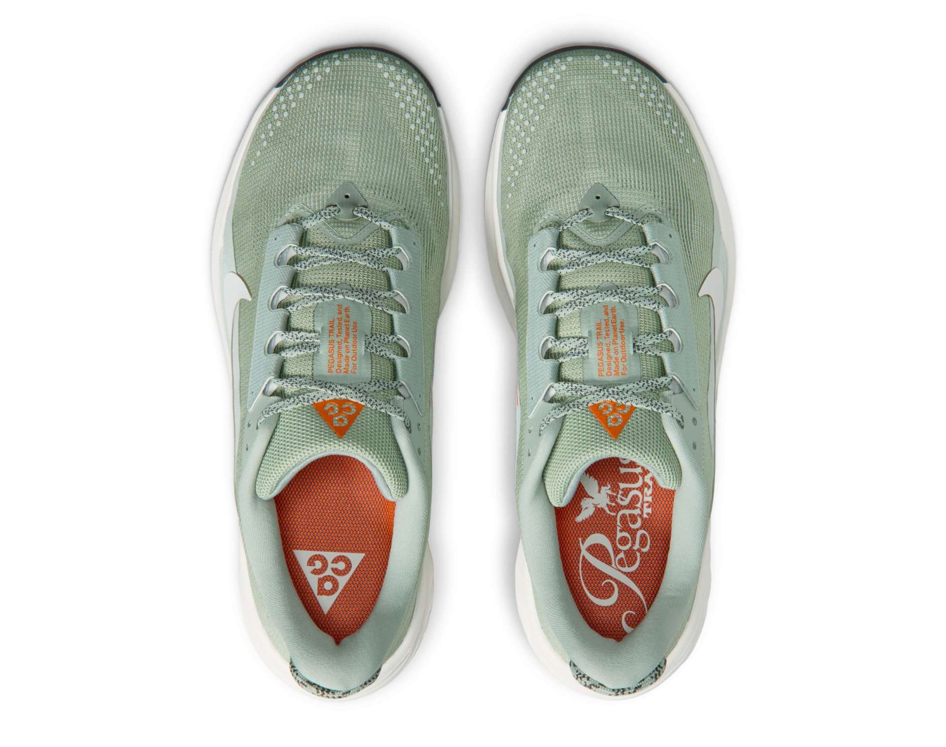 Nike ACG Pegasus Trail Mens Running Shoes