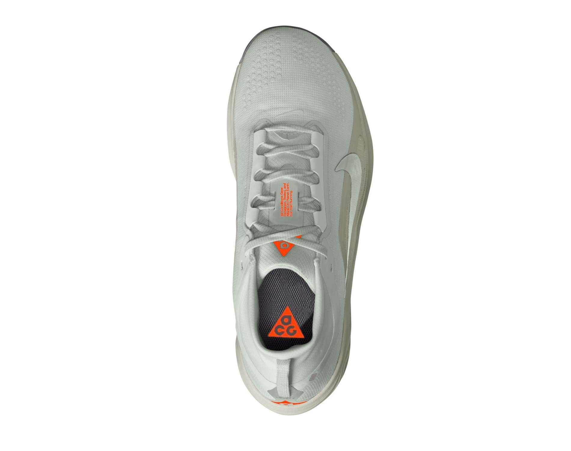 Nike ACG Pegasus GORE-TEX Mens Trail Running Shoes