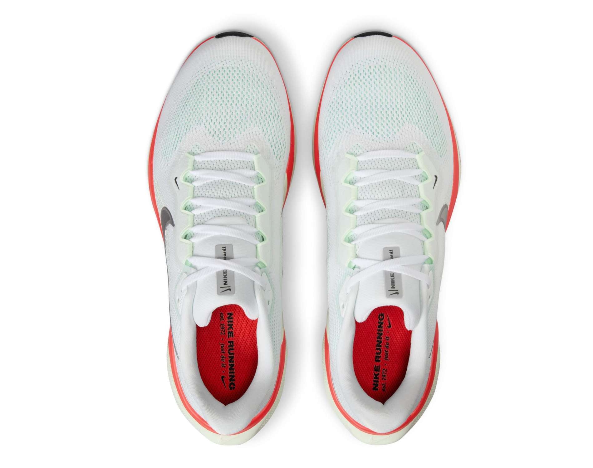 Nike Pegasus 41 Mens