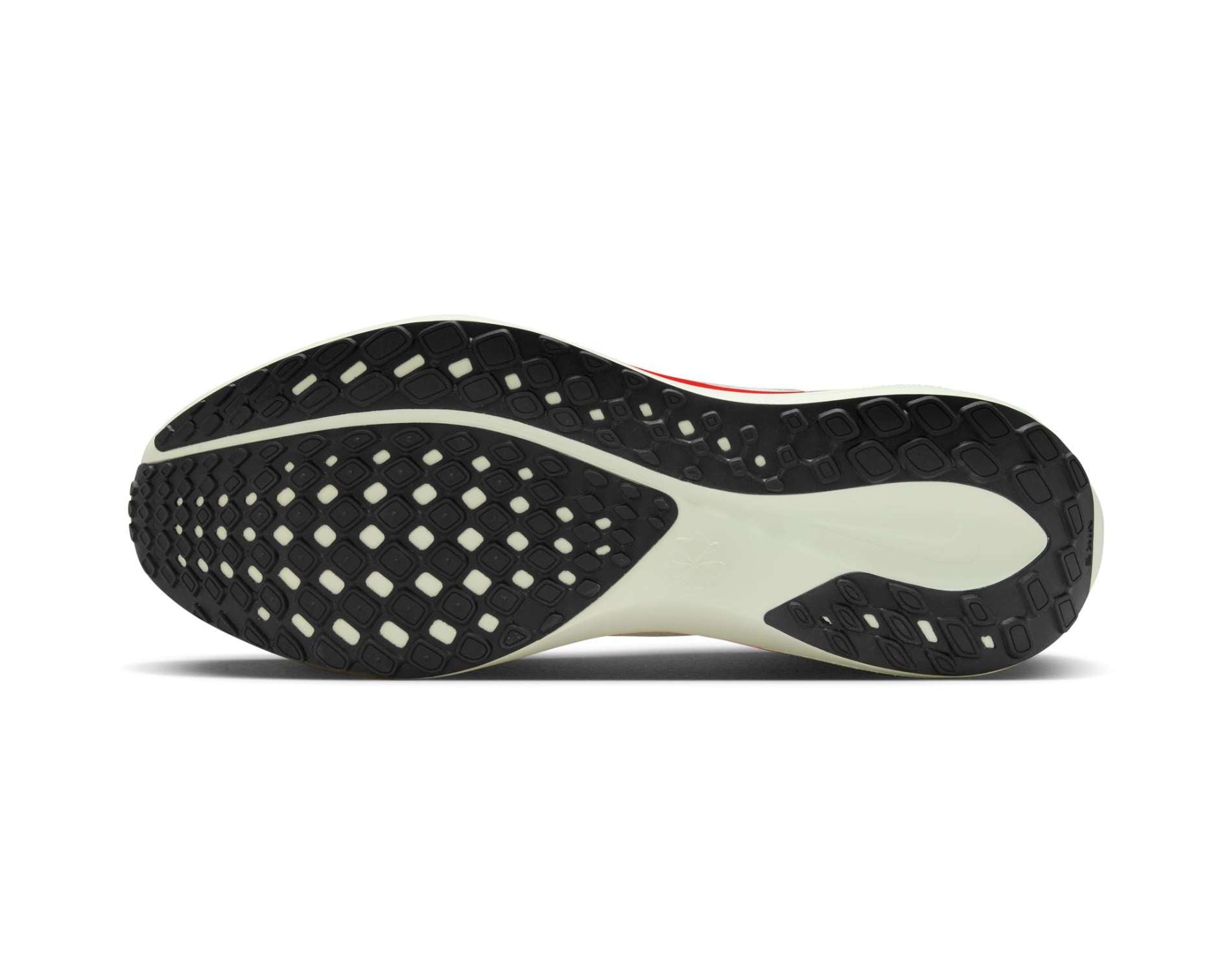 Nike Pegasus 41 Mens
