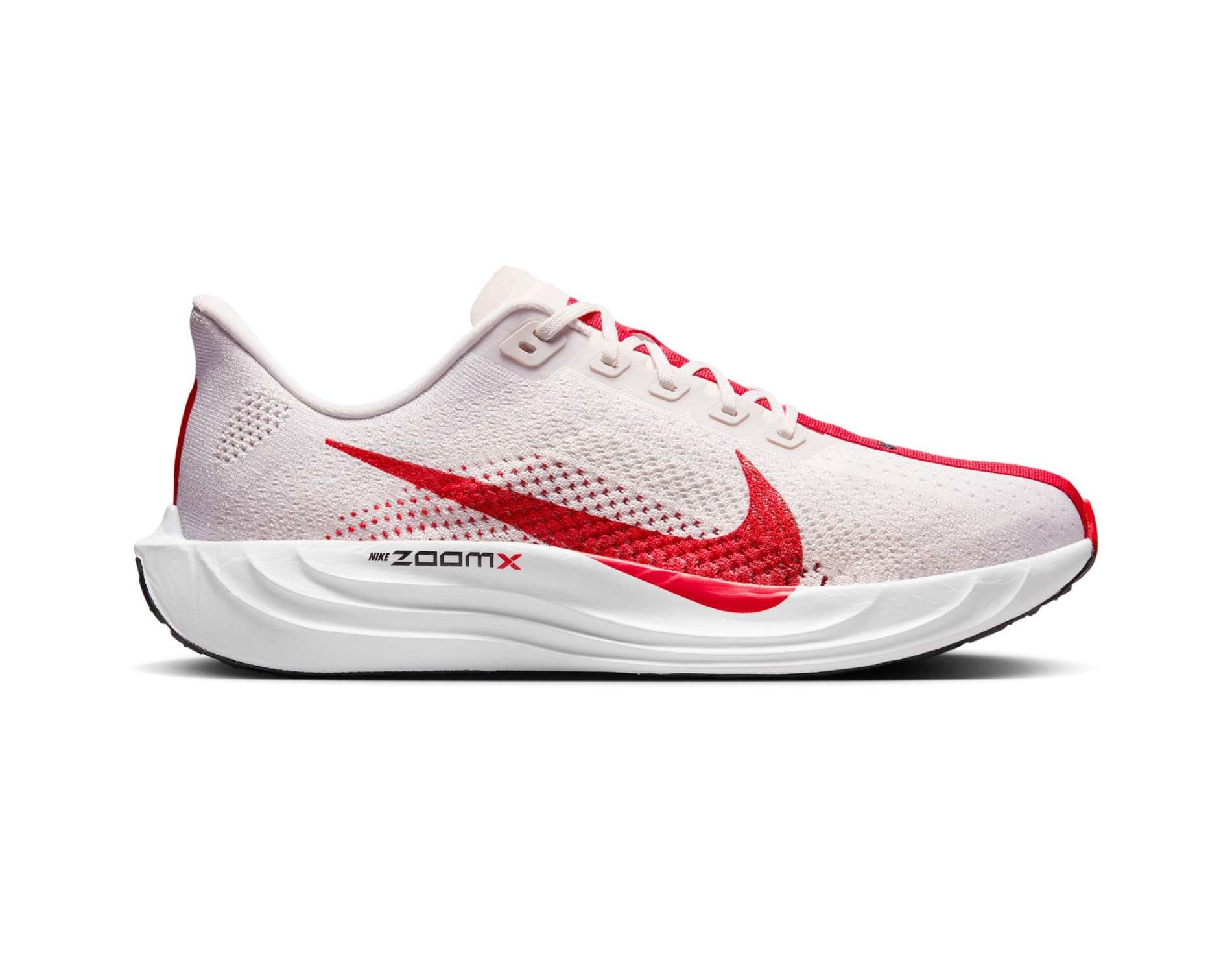 Nike Pegasus Plus Mens