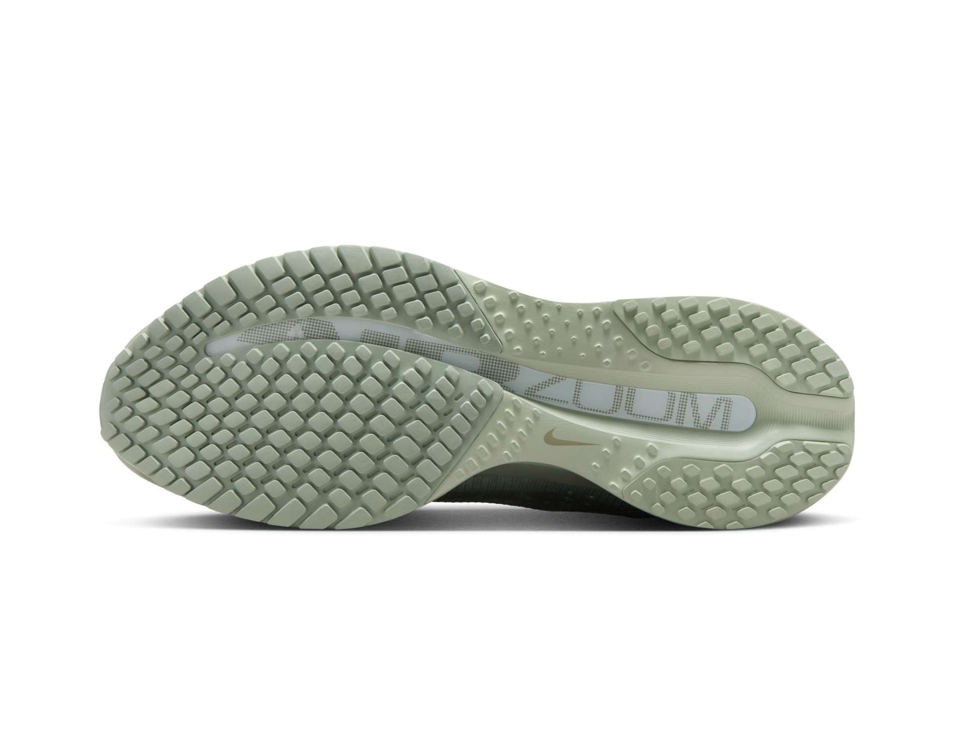 Nike Pegasus Premium Mens