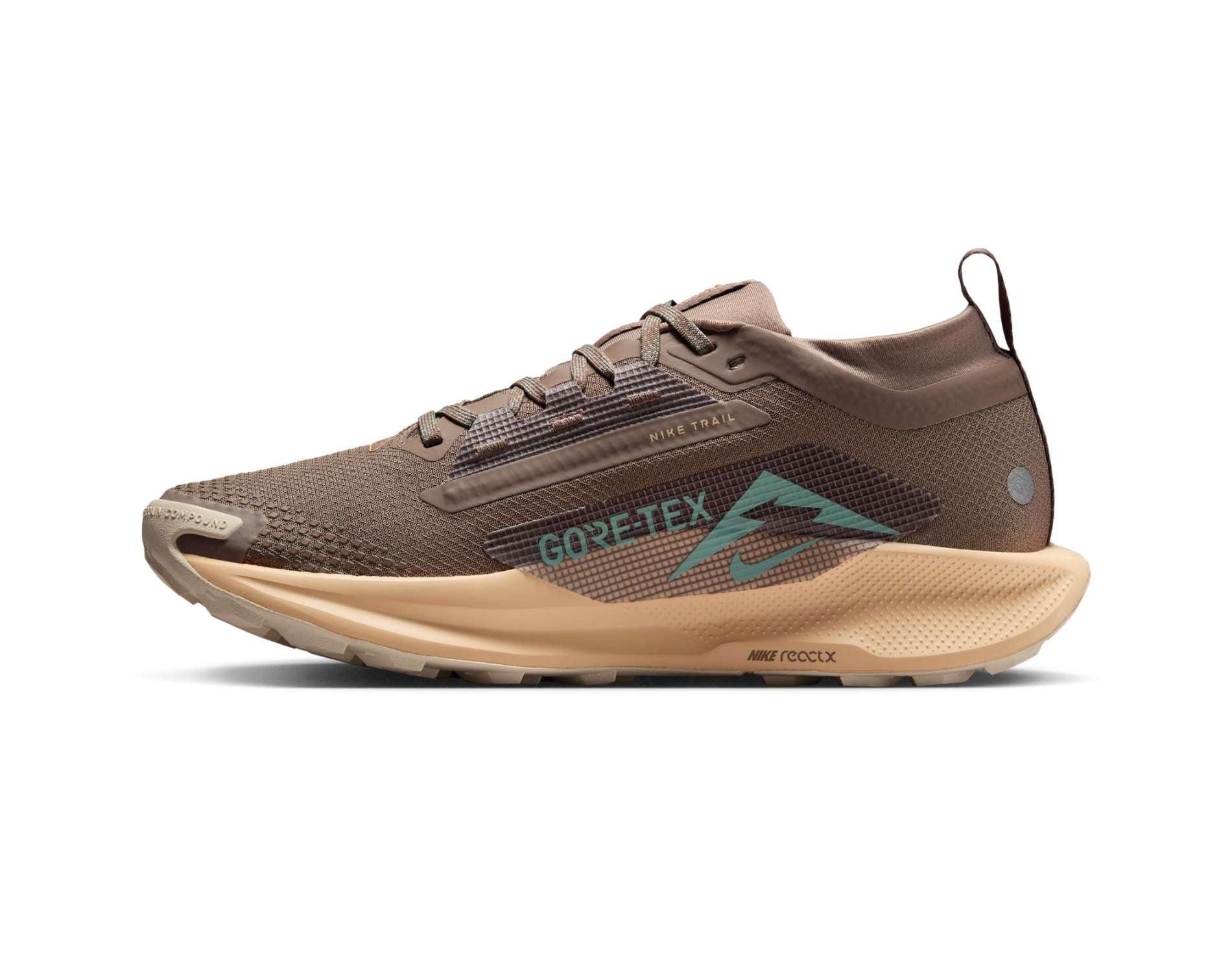 Nike Pegasus Trail 5 GORE-TEX Womens