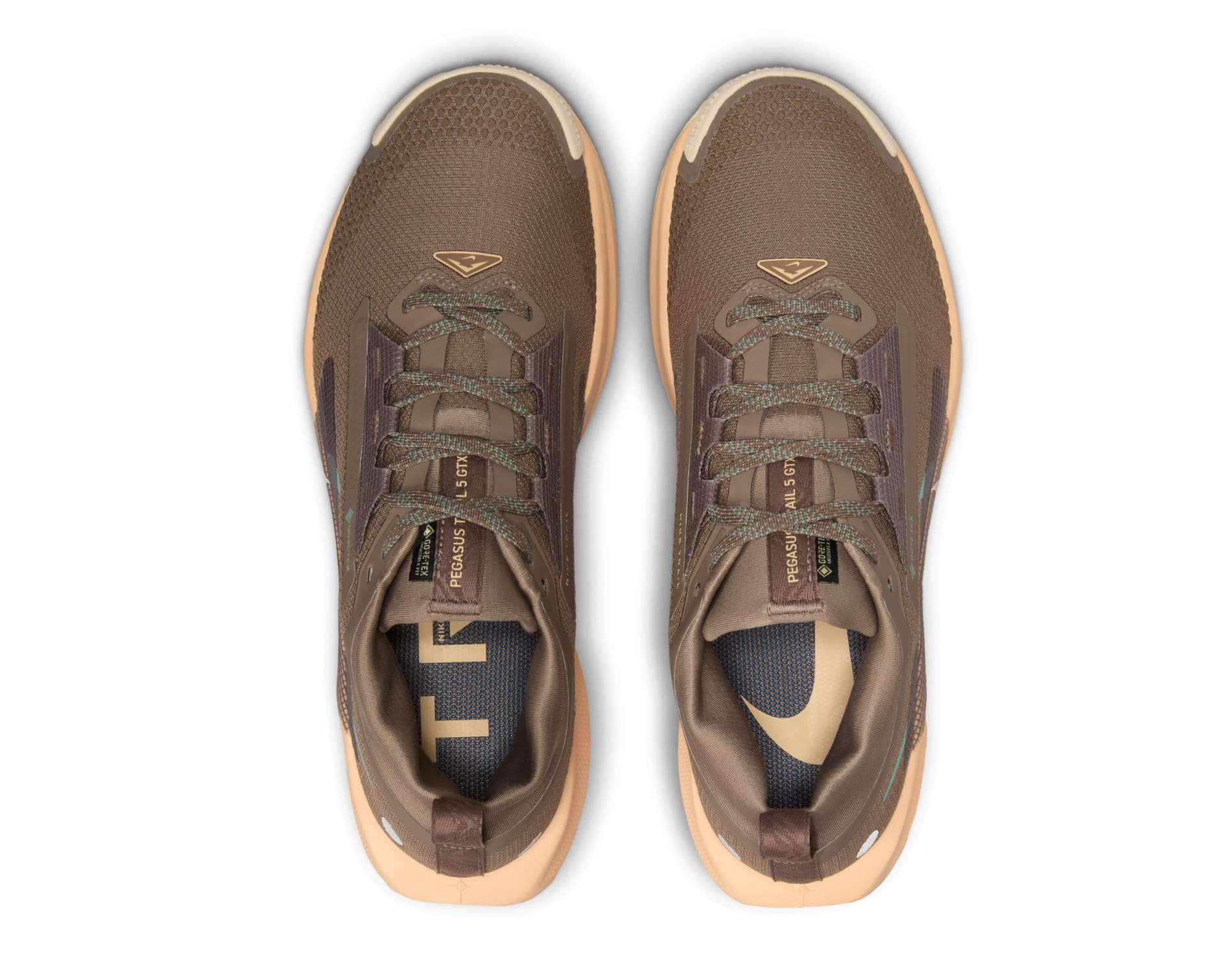Nike Pegasus Trail 5 GORE-TEX Womens