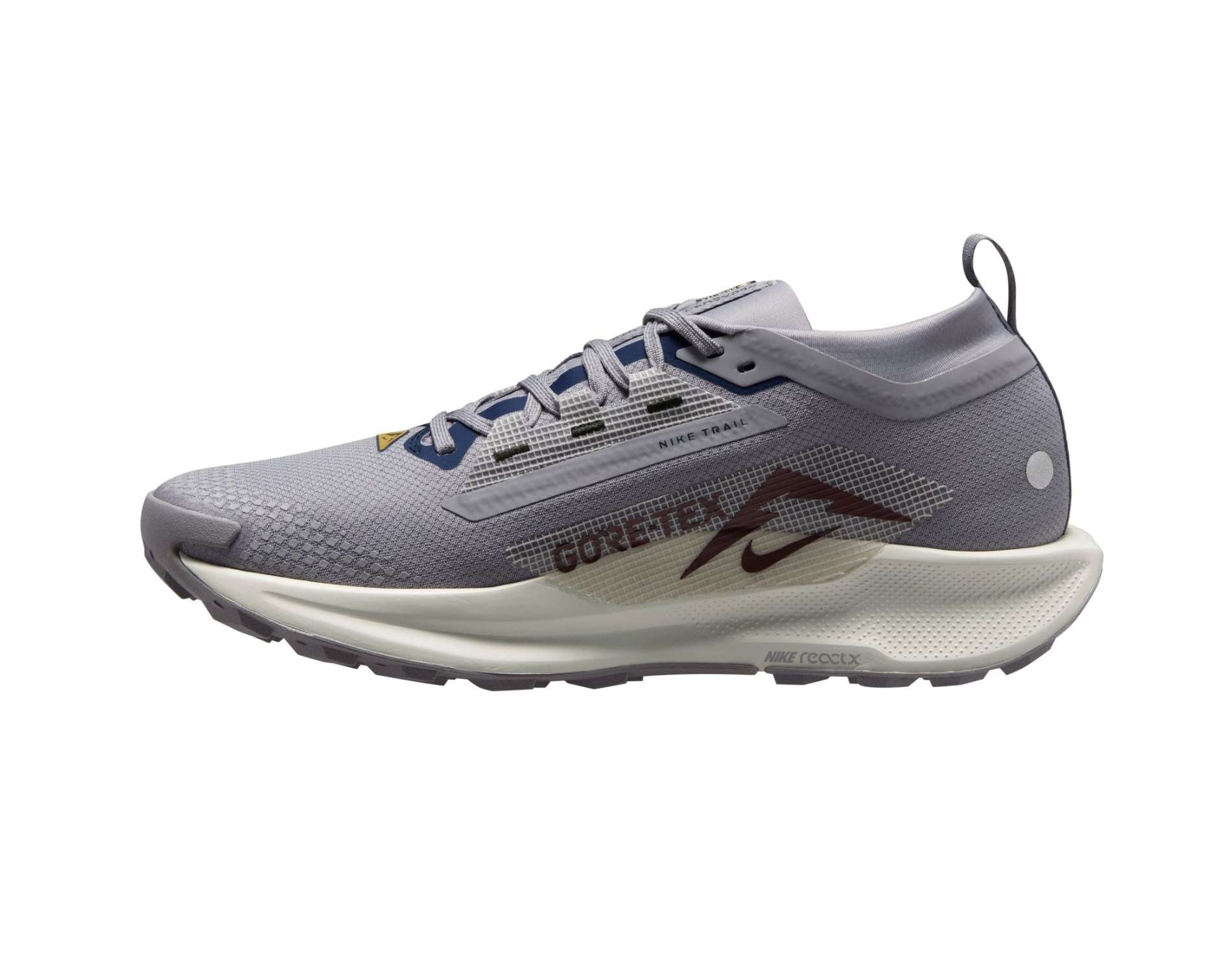 Nike Pegasus Trail 5 GORE-TEX Mens Trail-Running Shoes