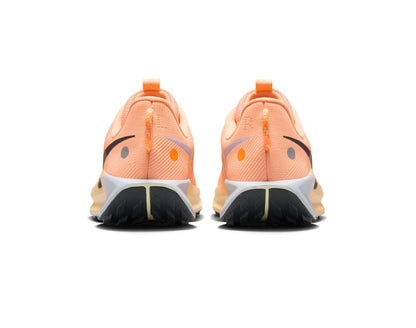 Nike Pegasus Trail 5 Womens